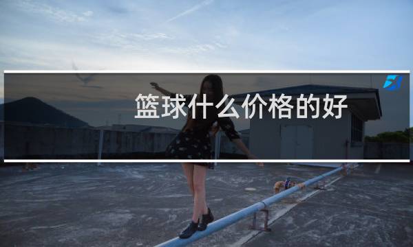 篮球什么价格的好图片