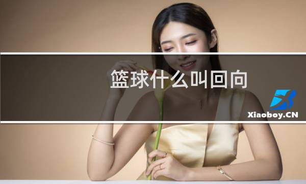 篮球什么叫回向图片