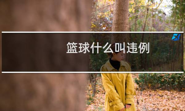 篮球什么叫违例图片