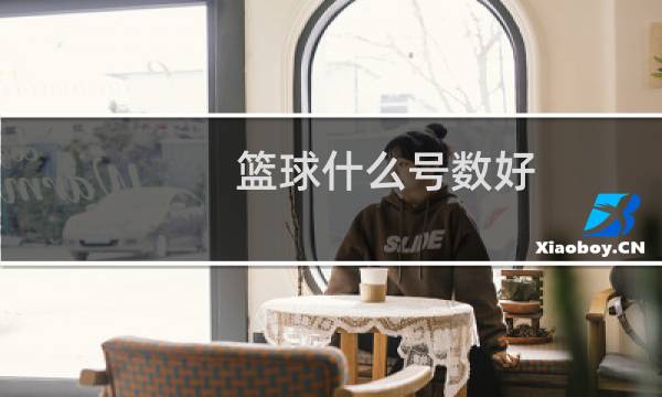 篮球什么号数好图片