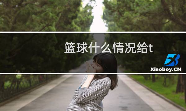 篮球什么情况给t图片