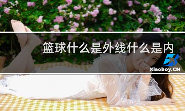 篮球什么是外线什么是内线图片