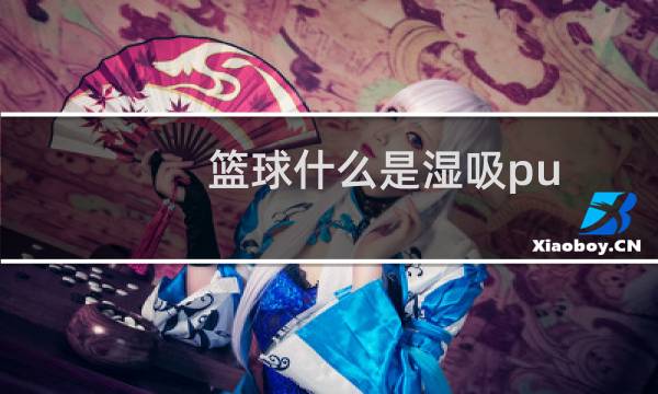篮球什么是湿吸pu图片