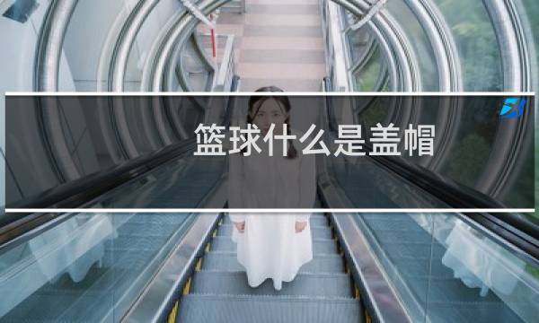 篮球什么是盖帽图片