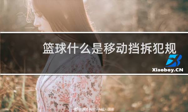 篮球什么是移动挡拆犯规图片