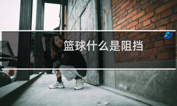 篮球什么是阻挡图片