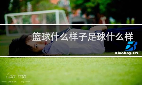 篮球什么样子足球什么样图片