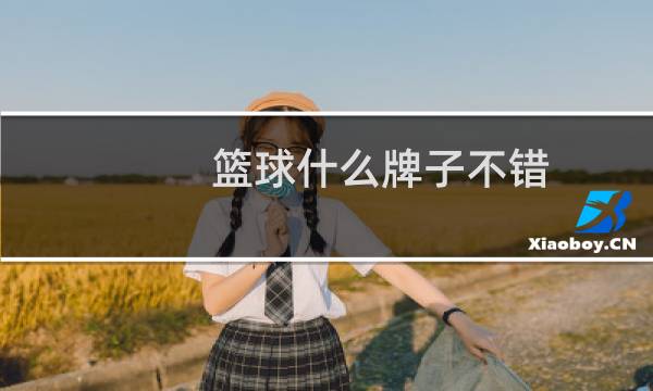 篮球什么牌子不错图片