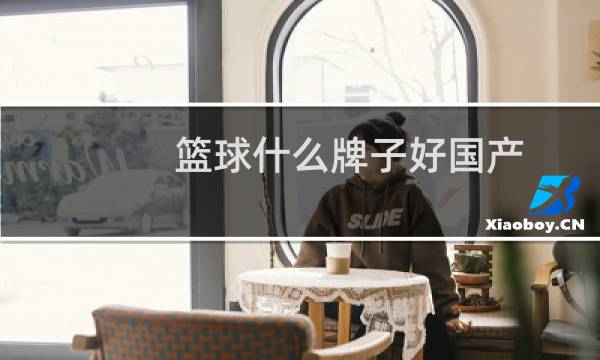 篮球什么牌子好国产图片