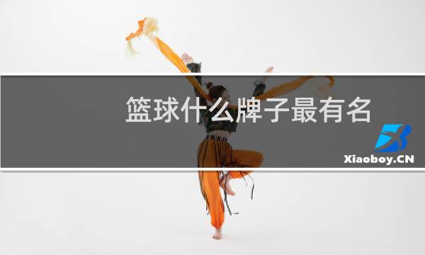 篮球什么牌子最有名图片