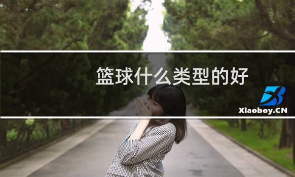 篮球什么类型的好图片
