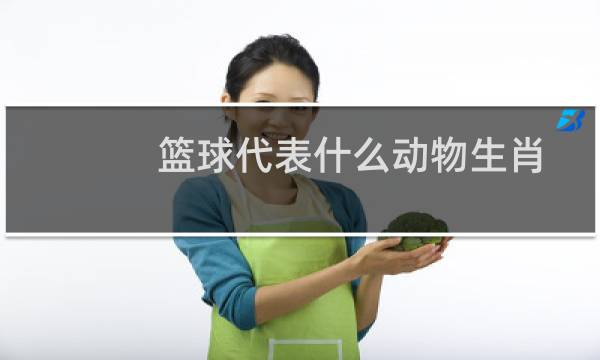 篮球代表什么动物生肖图片