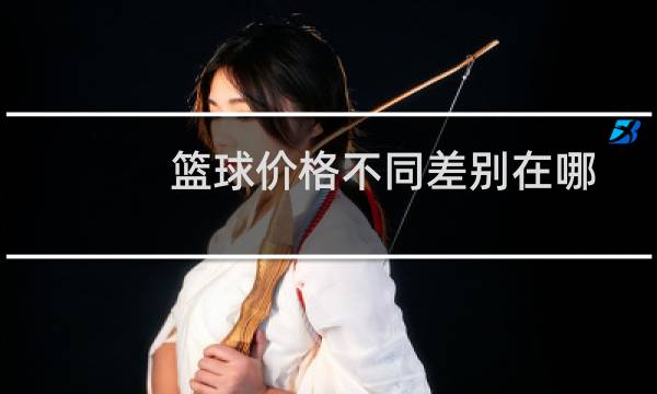 篮球价格不同差别在哪图片