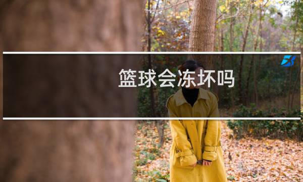 篮球会冻坏吗图片