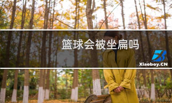 篮球会被坐扁吗图片