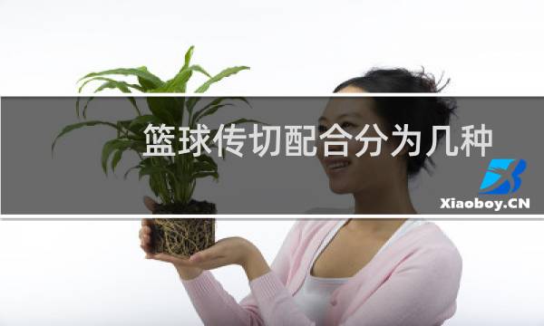 篮球传切配合分为几种图片