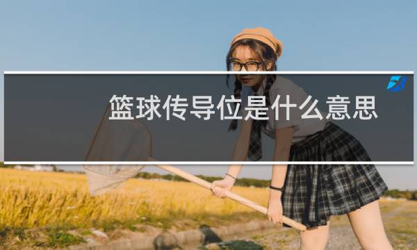 篮球传导位是什么意思图片