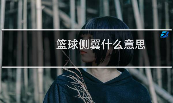 篮球侧翼什么意思图片