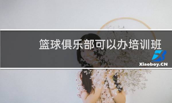 篮球俱乐部可以办培训班吗图片