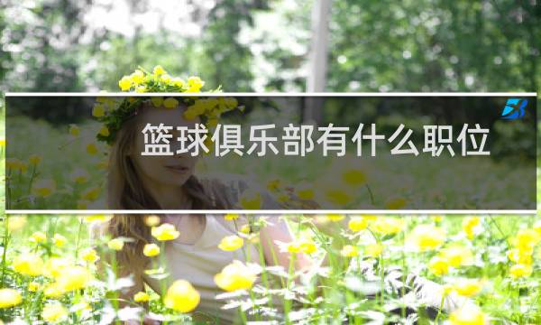 篮球俱乐部有什么职位图片
