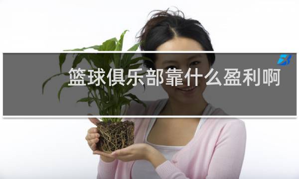 篮球俱乐部靠什么盈利啊图片