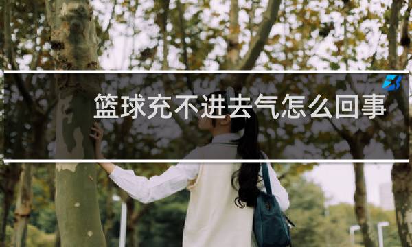 篮球充不进去气怎么回事图片
