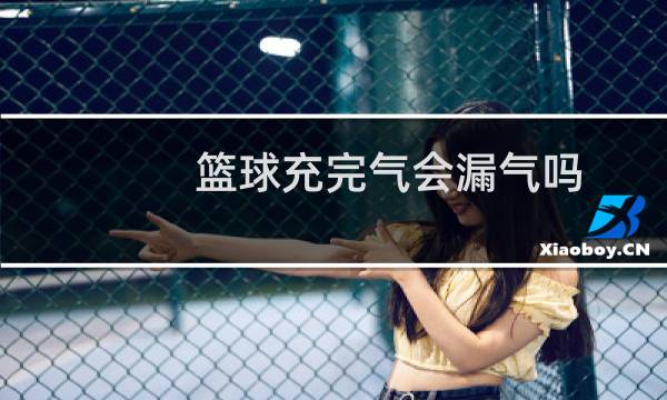 篮球充完气会漏气吗图片