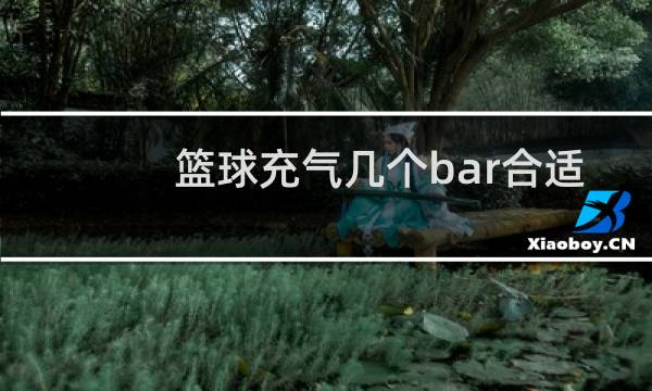 篮球充气几个bar合适图片