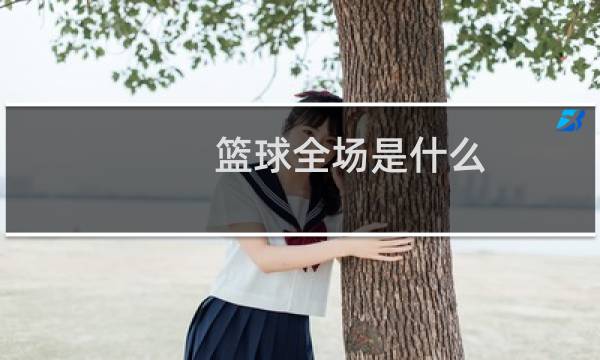 篮球全场是什么图片