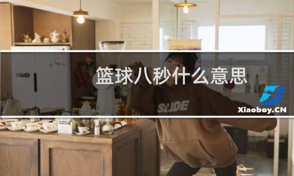 篮球八秒什么意思图片