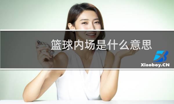 篮球内场是什么意思图片