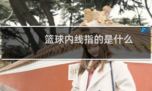 篮球内线指的是什么图片