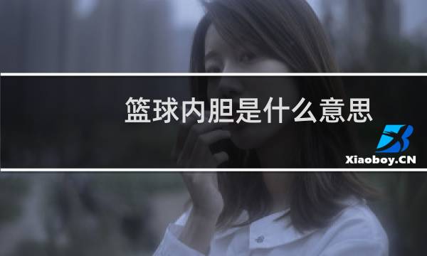 篮球内胆是什么意思图片