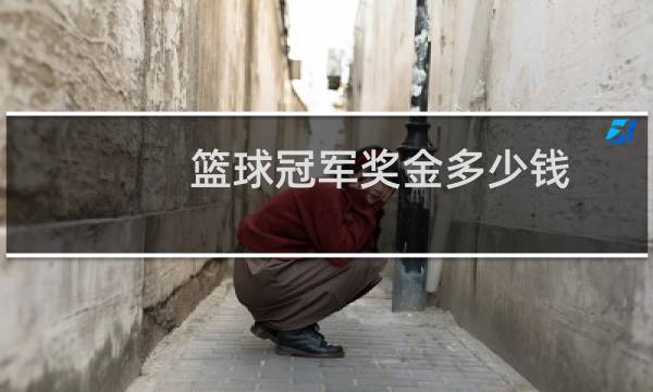 篮球冠军奖金多少钱图片