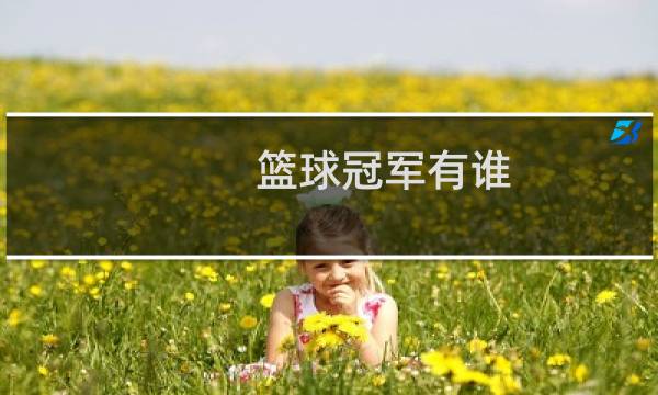 篮球冠军有谁图片