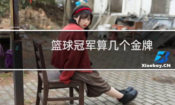 篮球冠军算几个金牌图片