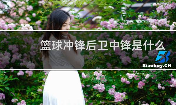 篮球冲锋后卫中锋是什么图片