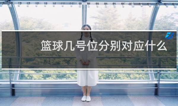 篮球几号位分别对应什么图片