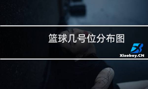 篮球几号位分布图图片