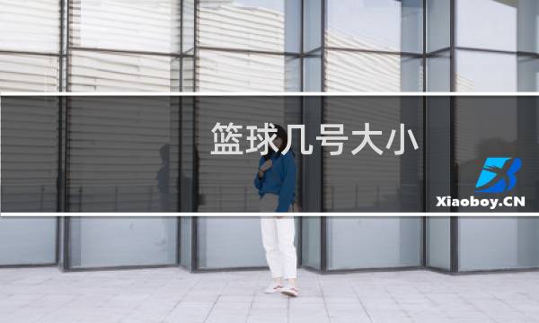 篮球几号大小图片