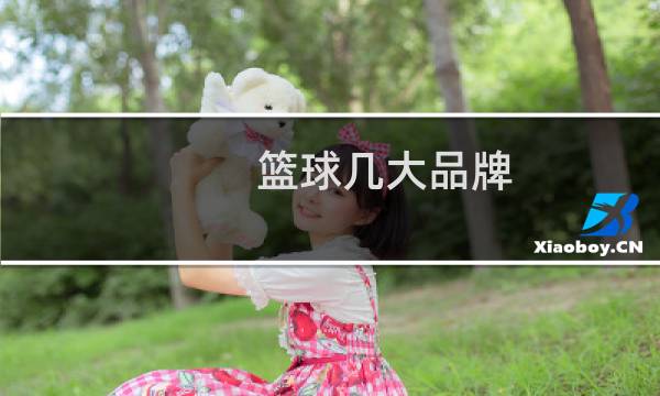 篮球几大品牌图片