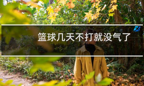 篮球几天不打就没气了图片