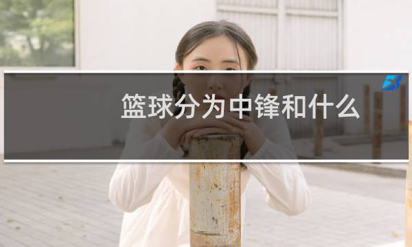 篮球分为中锋和什么图片