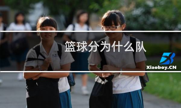 篮球分为什么队图片