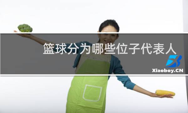 篮球分为哪些位子代表人物图片