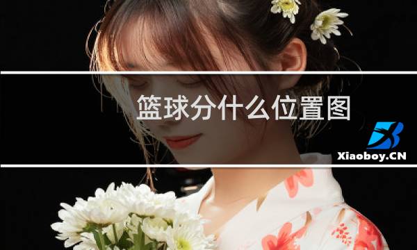 篮球分什么位置图图片