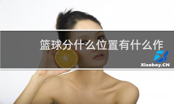 篮球分什么位置有什么作用图片