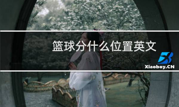 篮球分什么位置英文图片