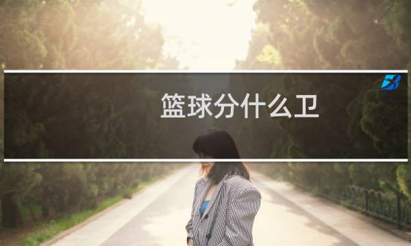 篮球分什么卫图片