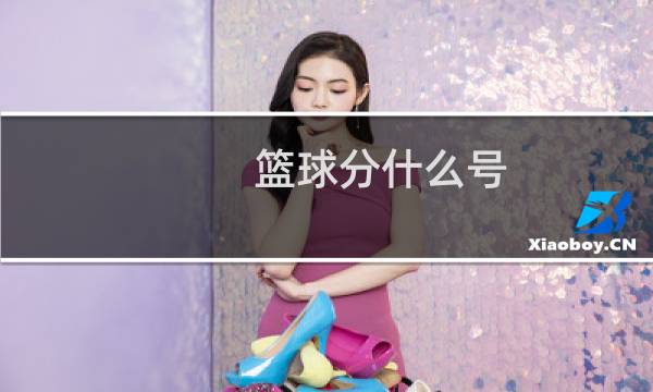 篮球分什么号图片